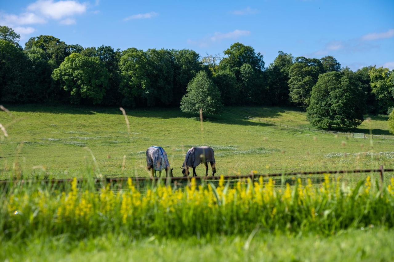 Shrewton Henge Estate - Restored Manor House, Up To 11 En-Suite Bedrooms المظهر الخارجي الصورة